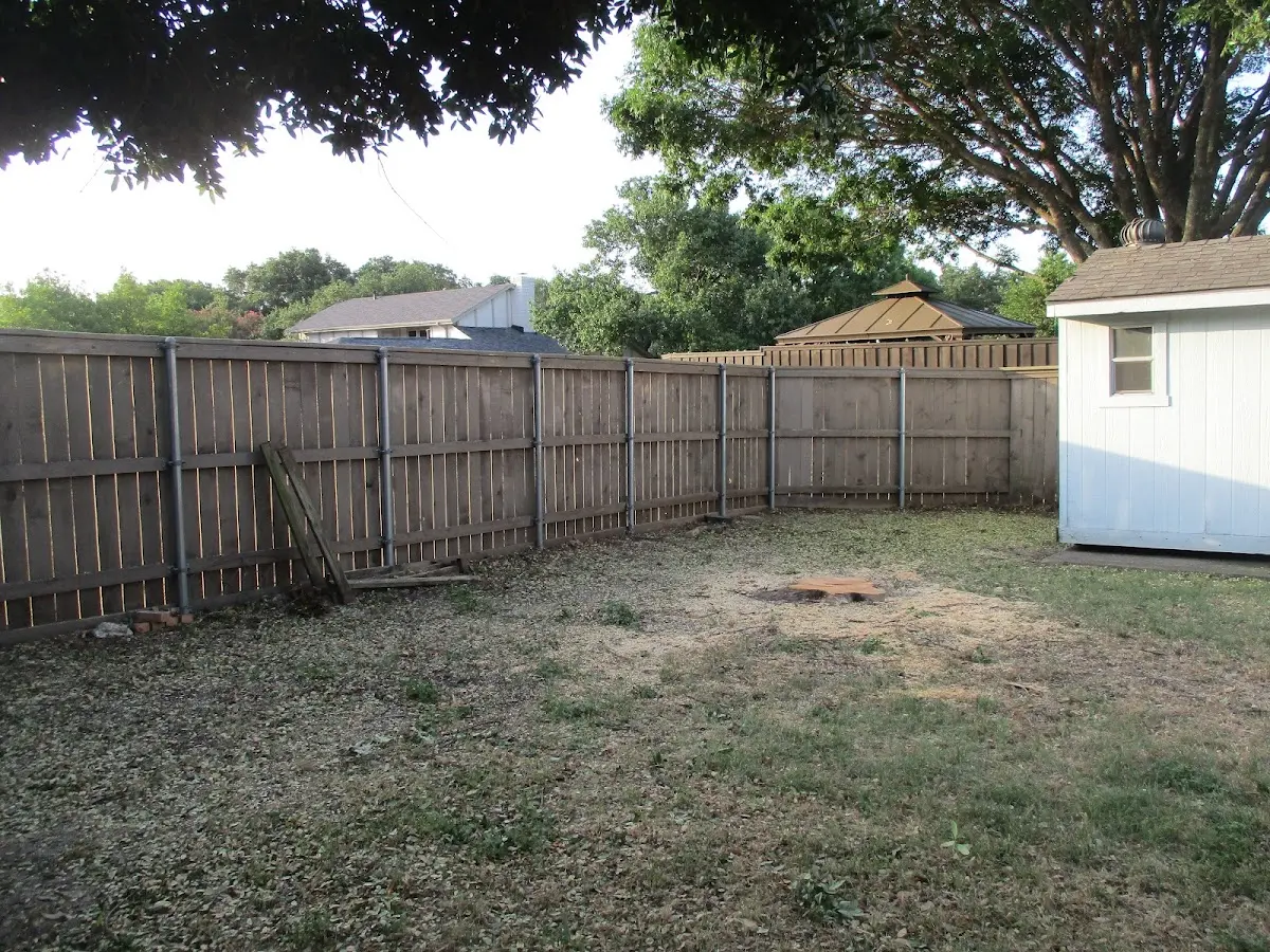 Cleared yard after professional tree removal in Paxton